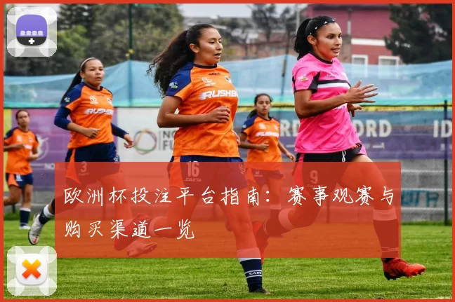 欧洲杯投注平台指南：赛事观赛与购买渠道一览