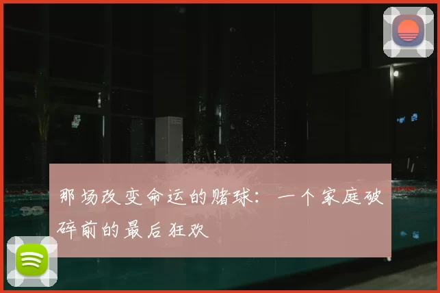 那场改变命运的赌球：一个家庭破碎前的最后狂欢