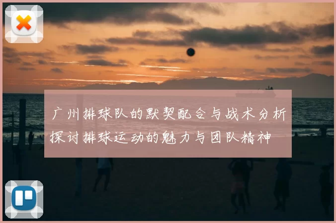 广州排球队的默契配合与战术分析探讨排球运动的魅力与团队精神