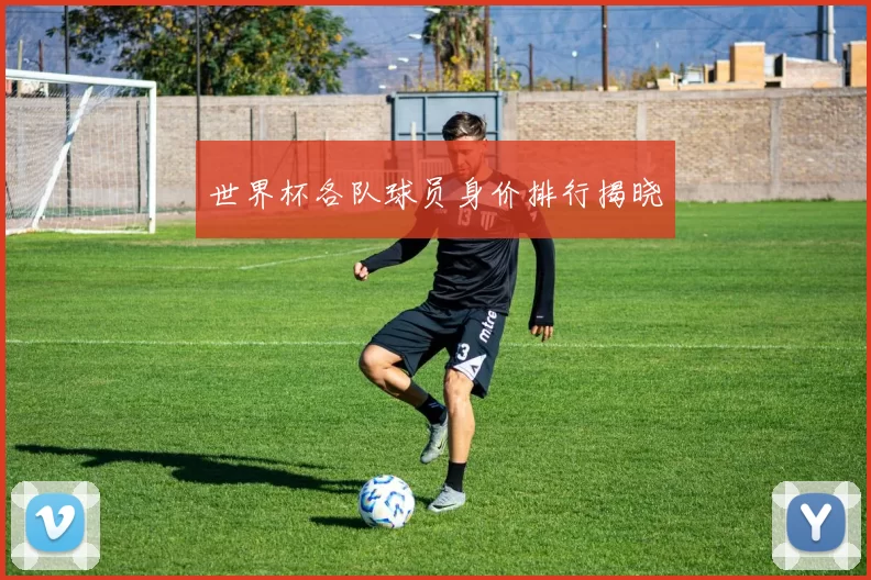 世界杯各队球员身价排行揭晓