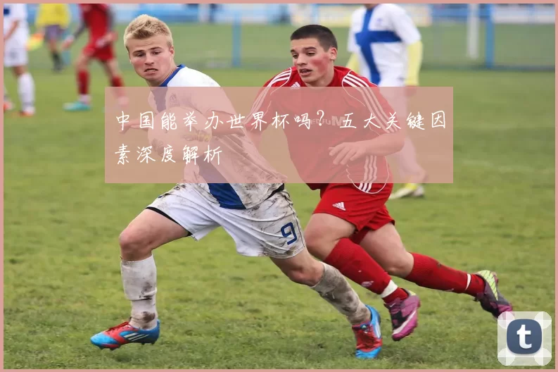 中国能举办世界杯吗？五大关键因素深度解析