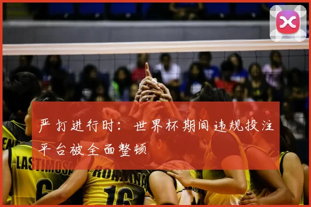 严打进行时：世界杯期间违规投注平台被全面整顿