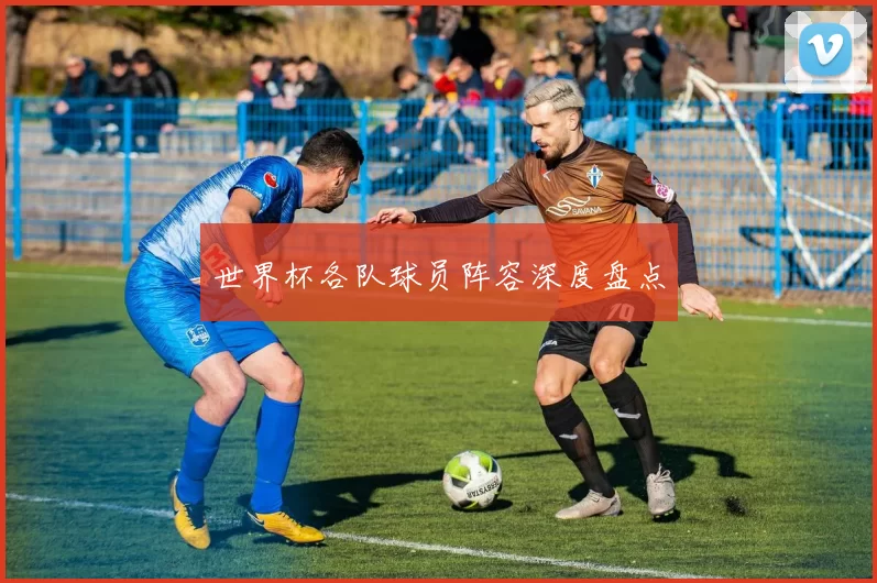 世界杯各队球员阵容深度盘点