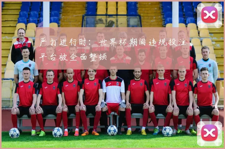 严打进行时:世界杯期间违规投注平台被全面整顿