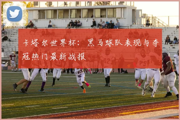 卡塔尔世界杯：黑马球队表现与夺冠热门最新战报
