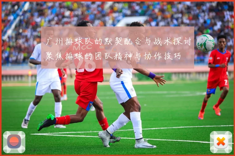 广州排球队的默契配合与战术探讨聚焦排球的团队精神与协作技巧