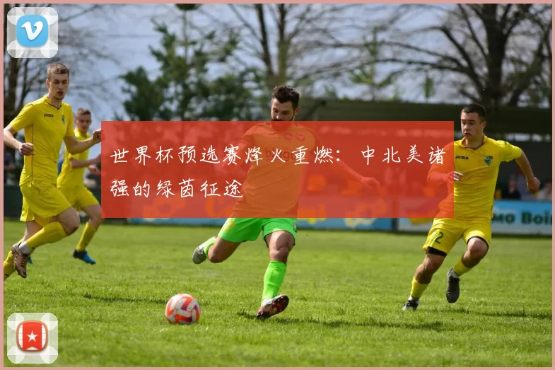 世界杯预选赛烽火重燃：中北美诸强的绿茵征途