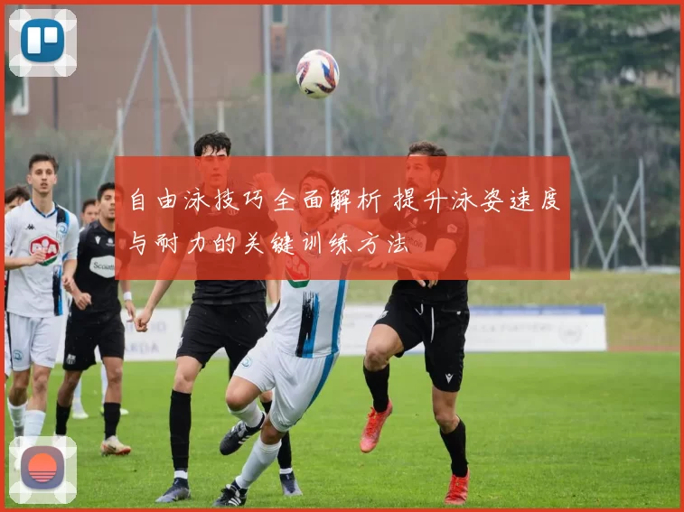 自由泳技巧全面解析 提升泳姿速度与耐力的关键训练方法