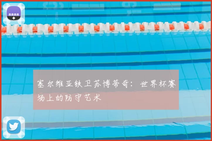 塞尔维亚铁卫苏博蒂奇：世界杯赛场上的防守艺术
