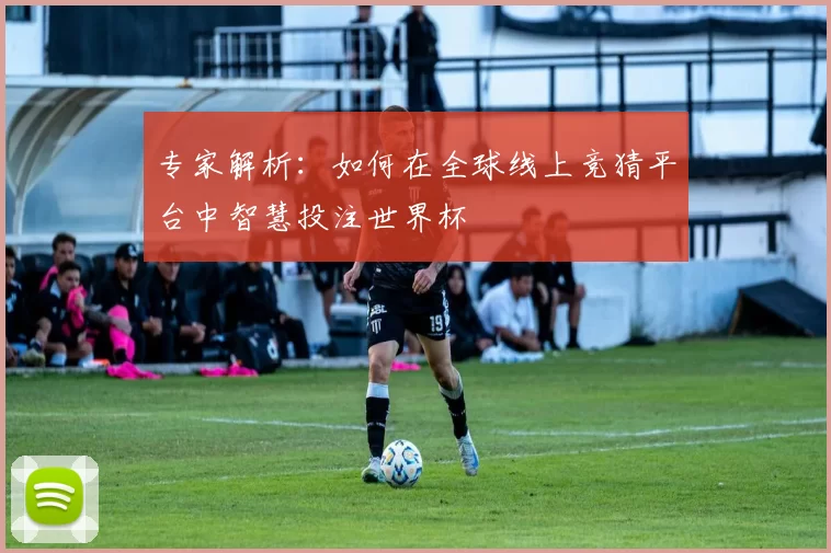 专家解析：如何在全球线上竞猜平台中智慧投注世界杯