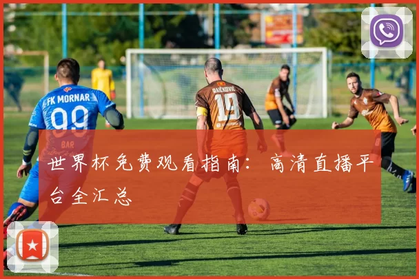 世界杯免费观看指南：高清直播平台全汇总