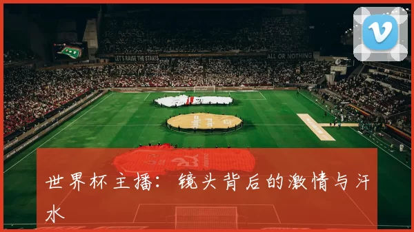 世界杯主播：镜头背后的激情与汗水
