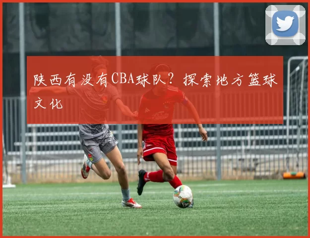 陕西有没有CBA球队？探索地方篮球文化