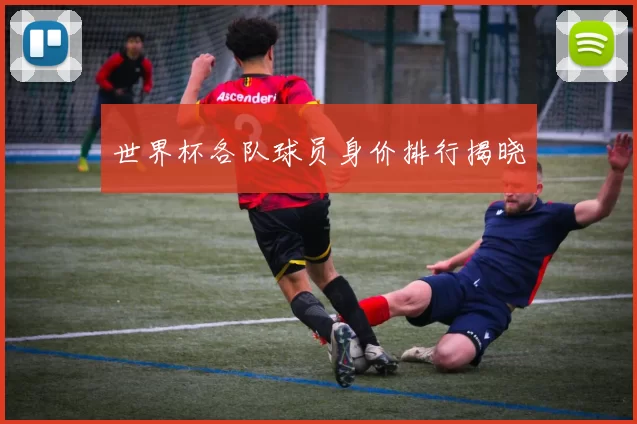 世界杯各队球员身价排行揭晓