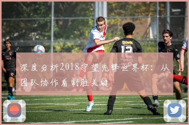 深度分析2018守望先锋世界杯:从团队协作看制胜关键