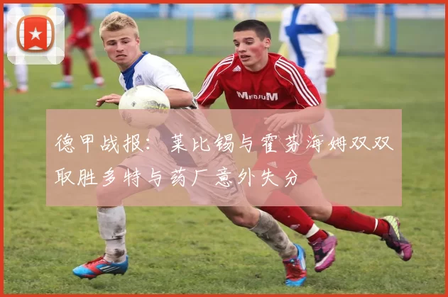 德甲战报:莱比锡与霍芬海姆双双取胜多特与药厂意外失分