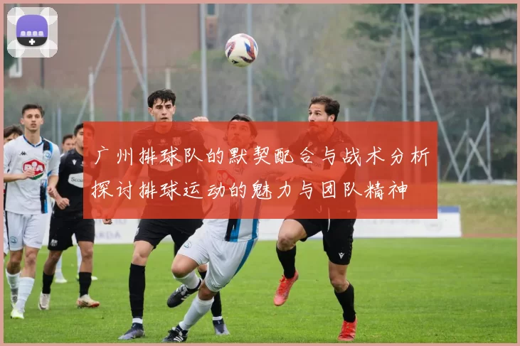 广州排球队的默契配合与战术分析探讨排球运动的魅力与团队精神