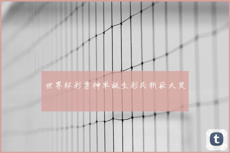 世界杯彩票神单诞生彩民斩获大奖