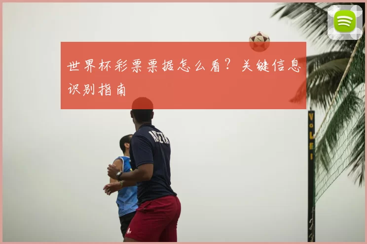 世界杯彩票票据怎么看?关键信息识别指南