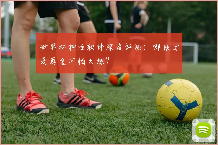 世界杯押注软件深度评测：哪款才是真金不怕火炼？