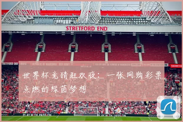 世界杯竞猜狂欢夜：一张网购彩票点燃的绿茵梦想