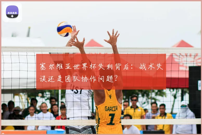 塞尔维亚世界杯失利背后：战术失误还是团队协作问题？