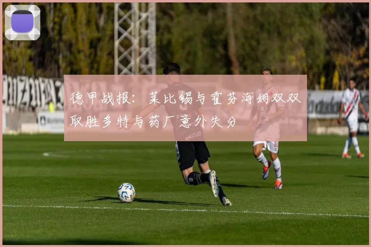 德甲战报：莱比锡与霍芬海姆双双取胜多特与药厂意外失分